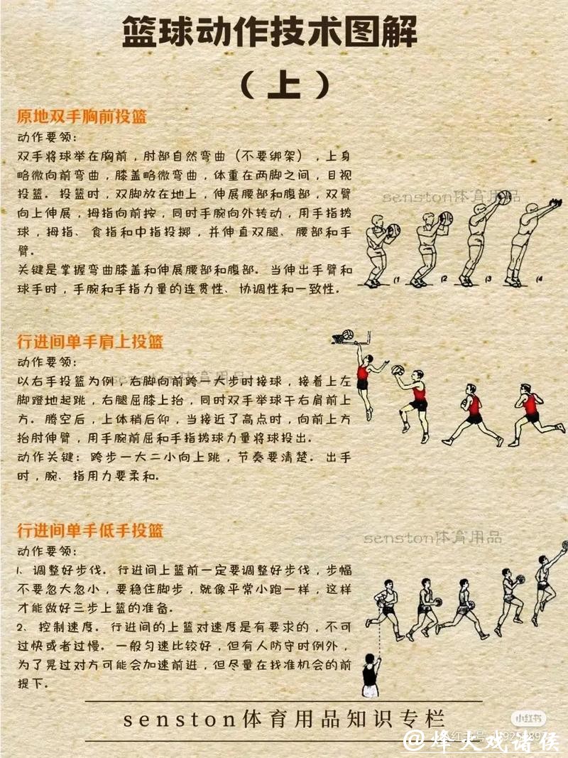 如何参与男篮世界杯下注指南 如何参与男篮世界杯下注指南