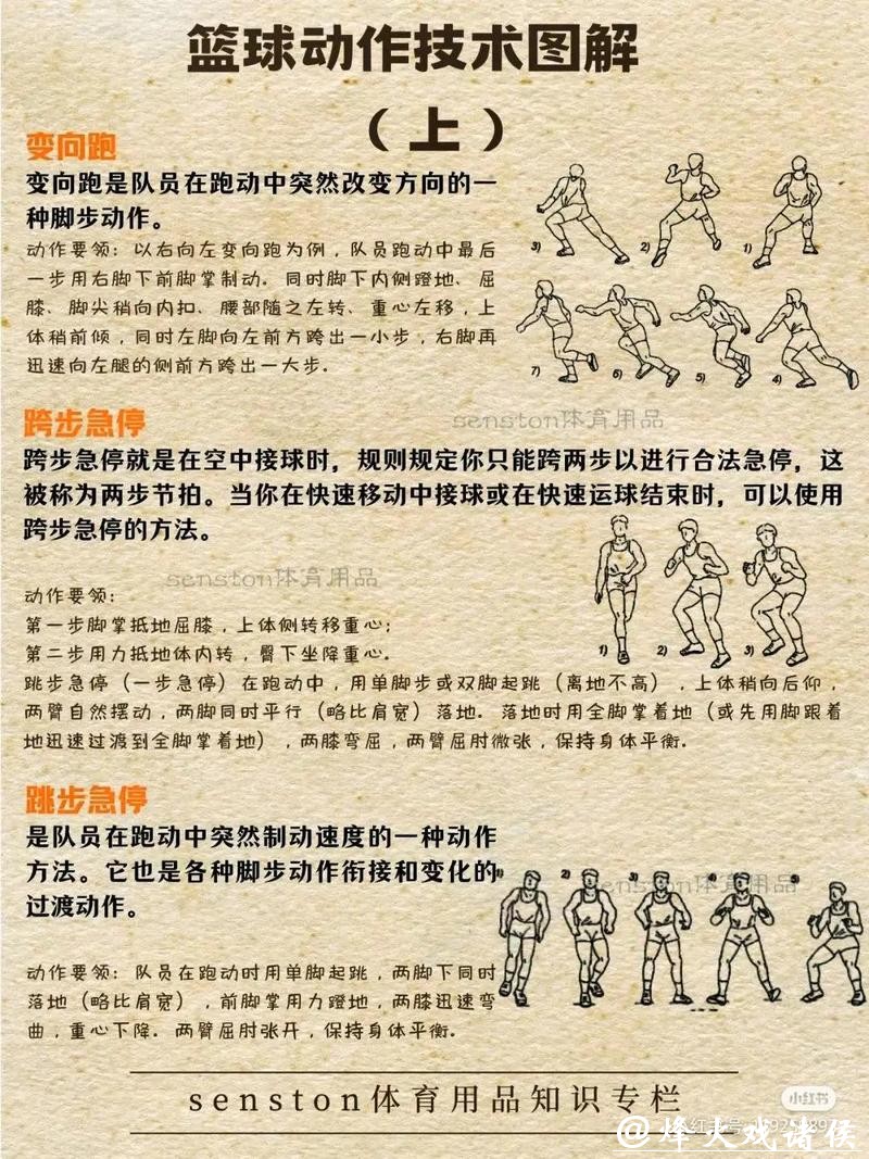 如何参与男篮世界杯下注指南 如何参与男篮世界杯下注指南